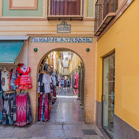 Domus Con Parking Gratuito * Granada