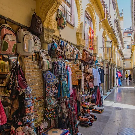 Domus Con Parking Gratuito Granada